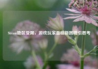 Steam地区受限，游戏玩家面临新困境引思考