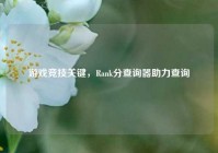 游戏竞技关键，Rank分查询器助力查询
