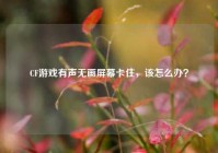 CF游戏有声无画屏幕卡住，该怎么办？