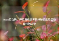 Steam启动码，开启游戏世界的神秘钥匙及启动项代码大全