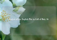 Analysis of the English Plot in Call of Duty 16