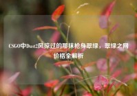 CSGO中Dust2风掠过的那抹枪身翠绿，翠绿之网价格全解析