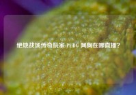 绝地战场传奇玩家 PUBG 阿狗在哪直播？