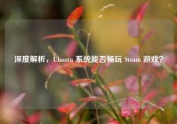 深度解析，Ubuntu 系统能否畅玩 Steam 游戏？