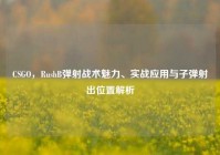 CSGO，RushB弹射战术魅力、实战应用与子弹射出位置解析
