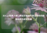 从Steam恶果之地口碑起伏看国产独立游戏的甜蜜陷阱与成长阵痛