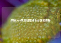 探秘CSGO职业玩家准心参数的奥秘