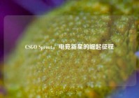 CSGO Sprout，电竞新星的崛起征程
