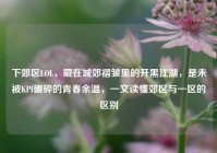 下郊区LOL，藏在城郊褶皱里的开黑江湖，是未被KPI碾碎的青春余温，一文读懂郊区与一区的区别