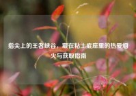 指尖上的王者峡谷，藏在粘土底座里的热爱烟火与获取指南