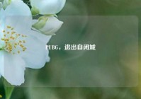 PUBG，逃出自闭城