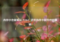 内存小也能畅玩 PUBG！这些内存小软件妙招揭秘