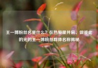 王一博粉丝名是什么？在热爱里并肩、做彼此的光的王一博粉丝群体名称揭秘