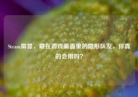 Steam屏显，藏在游戏画面里的隐形队友，你真的会用吗？