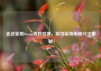 走进家用Steam奇妙世界，探寻家用电梯尺寸奥秘