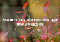 2025最新PUBG日服零门槛注册全流程教程，低延迟畅玩 避开锁区封号坑