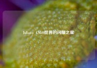 Julian，CSGO世界的闪耀之星