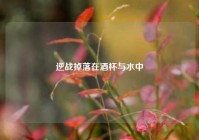 逆战掉落在酒杯与水中