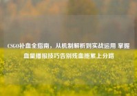 CSGO补血全指南，从机制解析到实战运用 掌握血量播报技巧告别残血拖累上分路