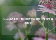 Steam启动手柄，开启游戏全新体验，变身大屏幕玩法
