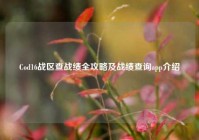 Cod16战区查战绩全攻略及战绩查询app介绍