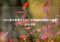 COD16进小黑屋会卡吗？实测揭晓真相及小黑屋网址分享