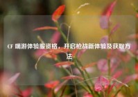 CF 端游体验服资格，开启枪战新体验及获取方法