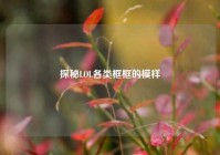 探秘LOL各类框框的模样