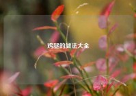 鸡腿的做法大全
