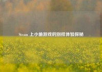 Steam 上小偷游戏的别样体验探秘