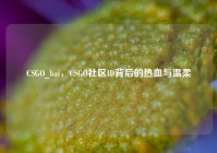CSGO_bai，CSGO社区ID背后的热血与温柔