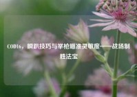 COD16，瞬趴技巧与举枪瞄准灵敏度——战场制胜法宝