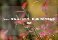 Steam、电视与手柄结合，开启极致游戏体验新时代