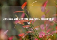 和平精英最佳实战视角分享视频，助你决胜赛场