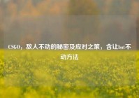CSGO，敌人不动的秘密及应对之策，含让bot不动方法