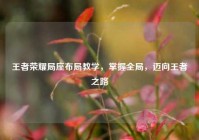 王者荣耀局座布局教学，掌握全局，迈向王者之路