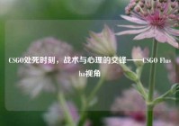 CSGO处死时刻，战术与心理的交锋——CSGO Flusha视角