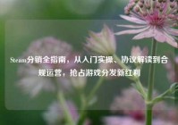 Steam分销全指南，从入门实操、协议解读到合规运营，抢占游戏分发新红利