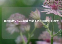 呼和浩特，Steam游戏热潮下选下载地区的思考