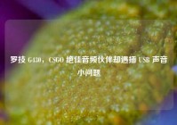 罗技 G430，CSGO 绝佳音频伙伴却遇插 USB 声音小问题