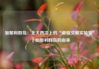 加那利群岛：北大西洋上的“微缩文明实验室”｜加那利群岛的由来