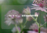 PDL 与 Steam，游戏领域别样风景