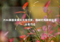 PUBG画面金属反光细节美，揭秘吃鸡画面反光设置方法