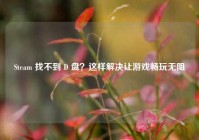 Steam 找不到 D 盘？这样解决让游戏畅玩无阻