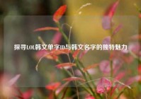 探寻LOL韩文单字ID与韩文名字的独特魅力