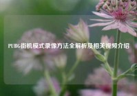 PUBG街机模式录像方法全解析及相关视频介绍