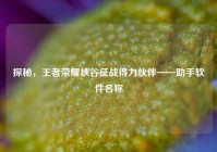 探秘，王者荣耀峡谷征战得力伙伴——助手软件名称
