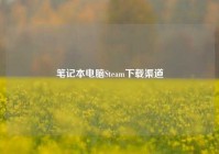 笔记本电脑Steam下载渠道