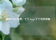 探秘 CSGO 世界，丫丫 hcsgo 丫丫与冬瓜强
