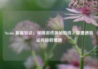 Steam 客服验证，保障游戏体验防线，却遭遇验证码接收难题